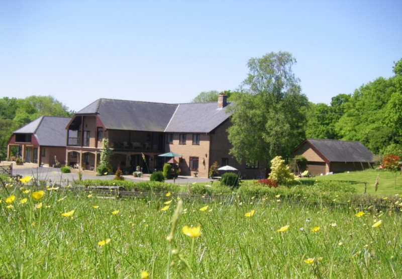 Approaching Acorn Court across the meadow